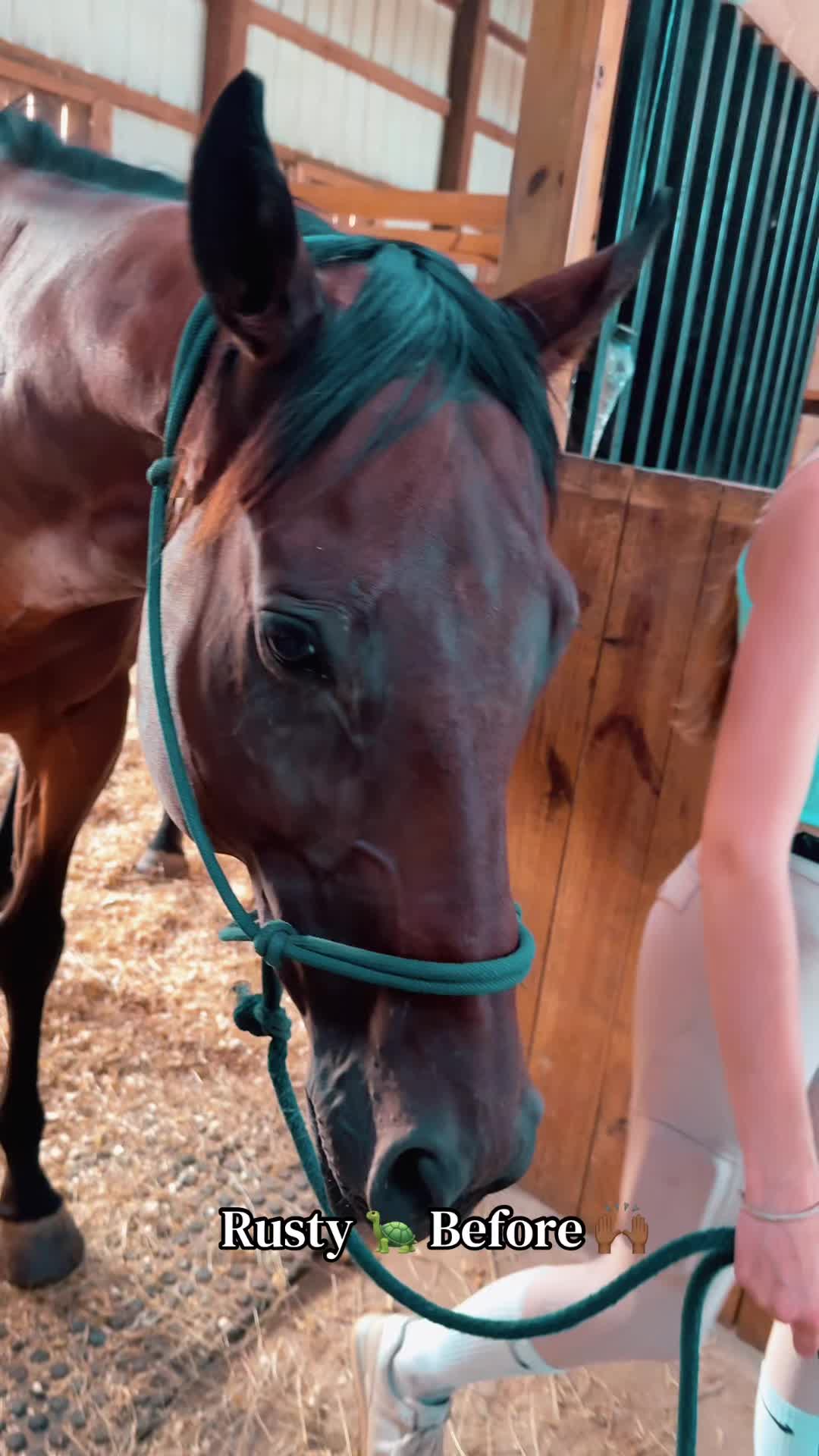 @Danigurl🦮🏇🌅
