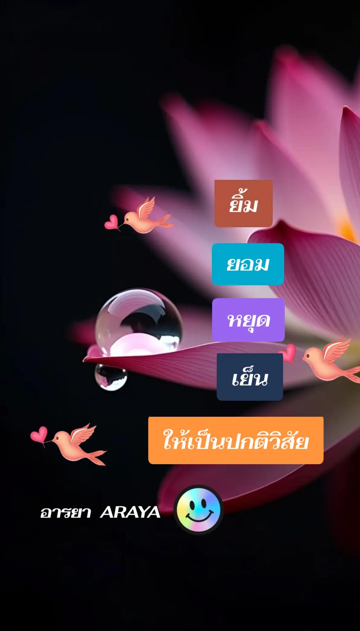 @อารยา araya