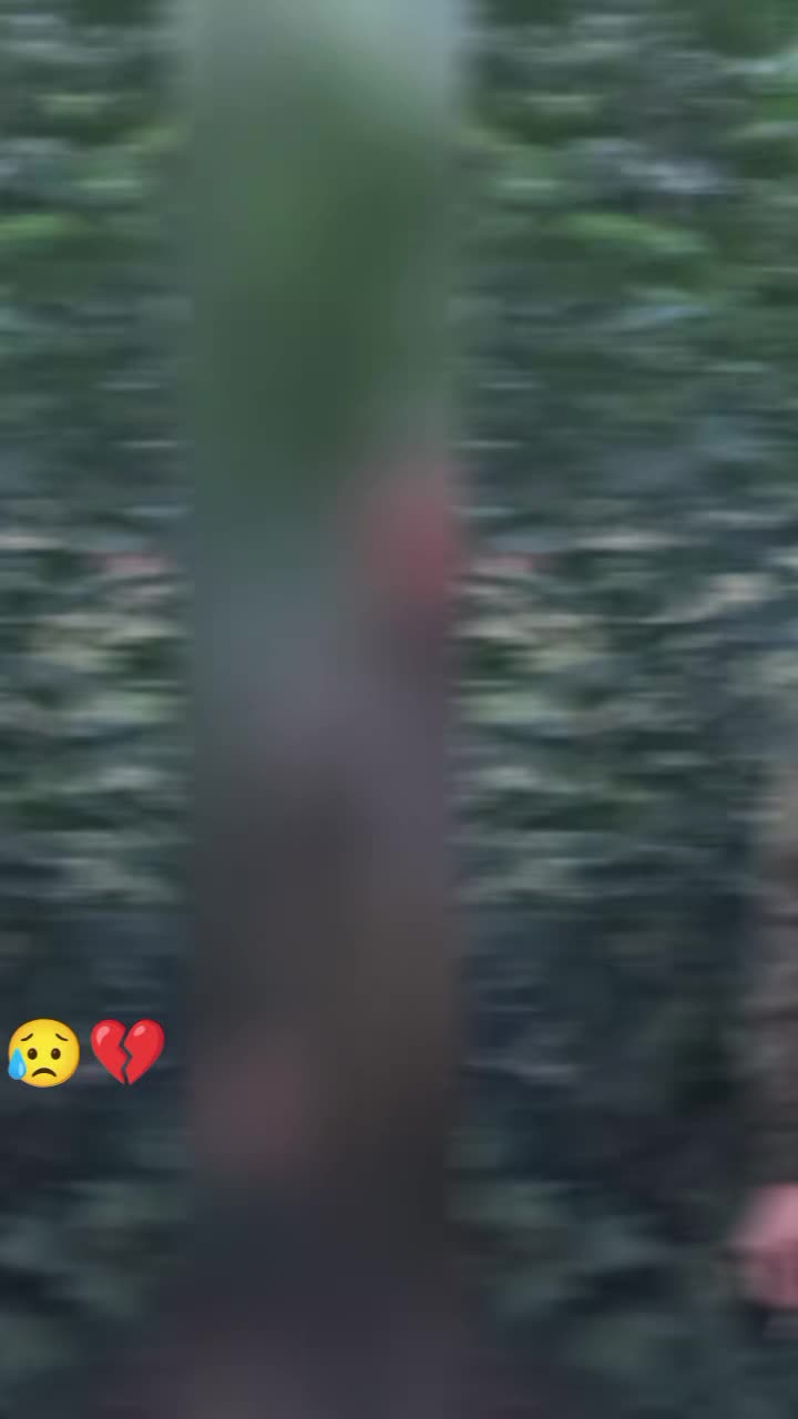 @𝔂𝓾𝓵𝓲𝓪🦋, 🦋