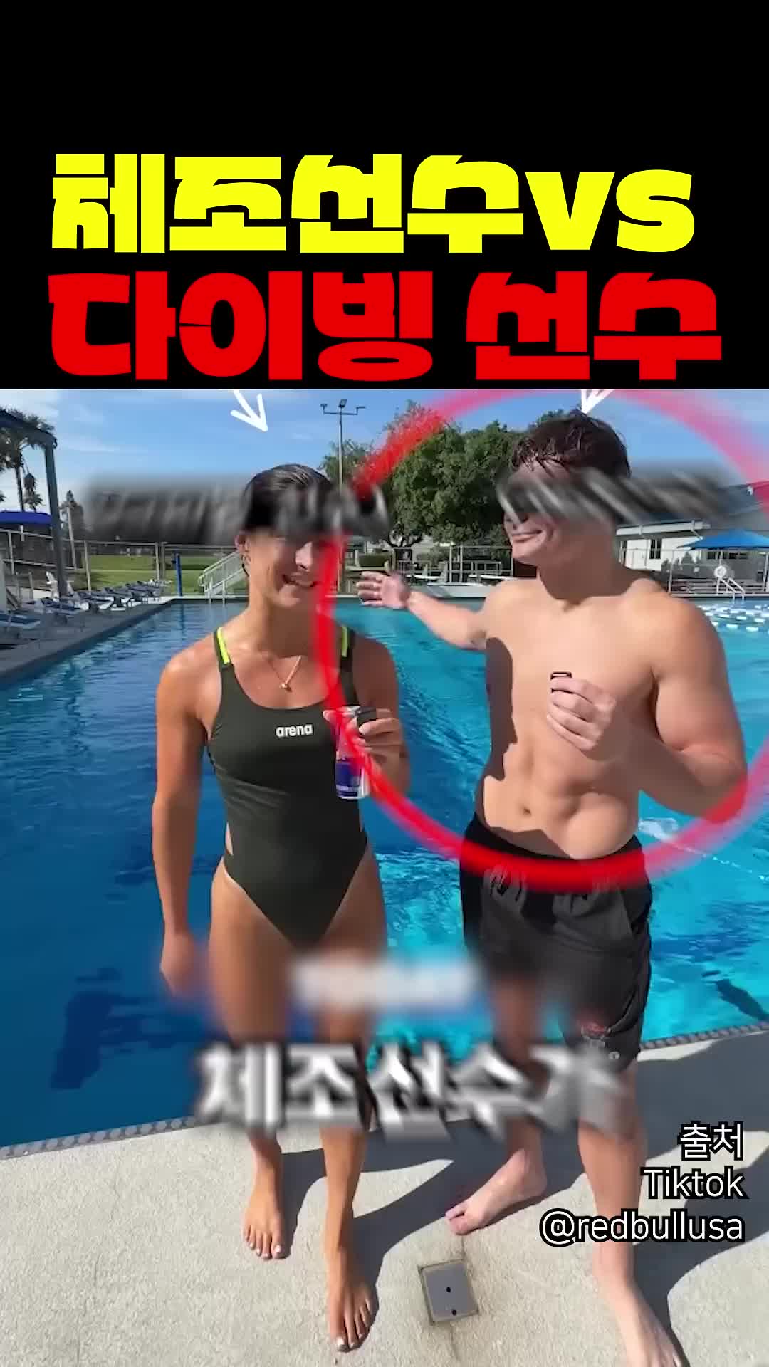 @짱아까미