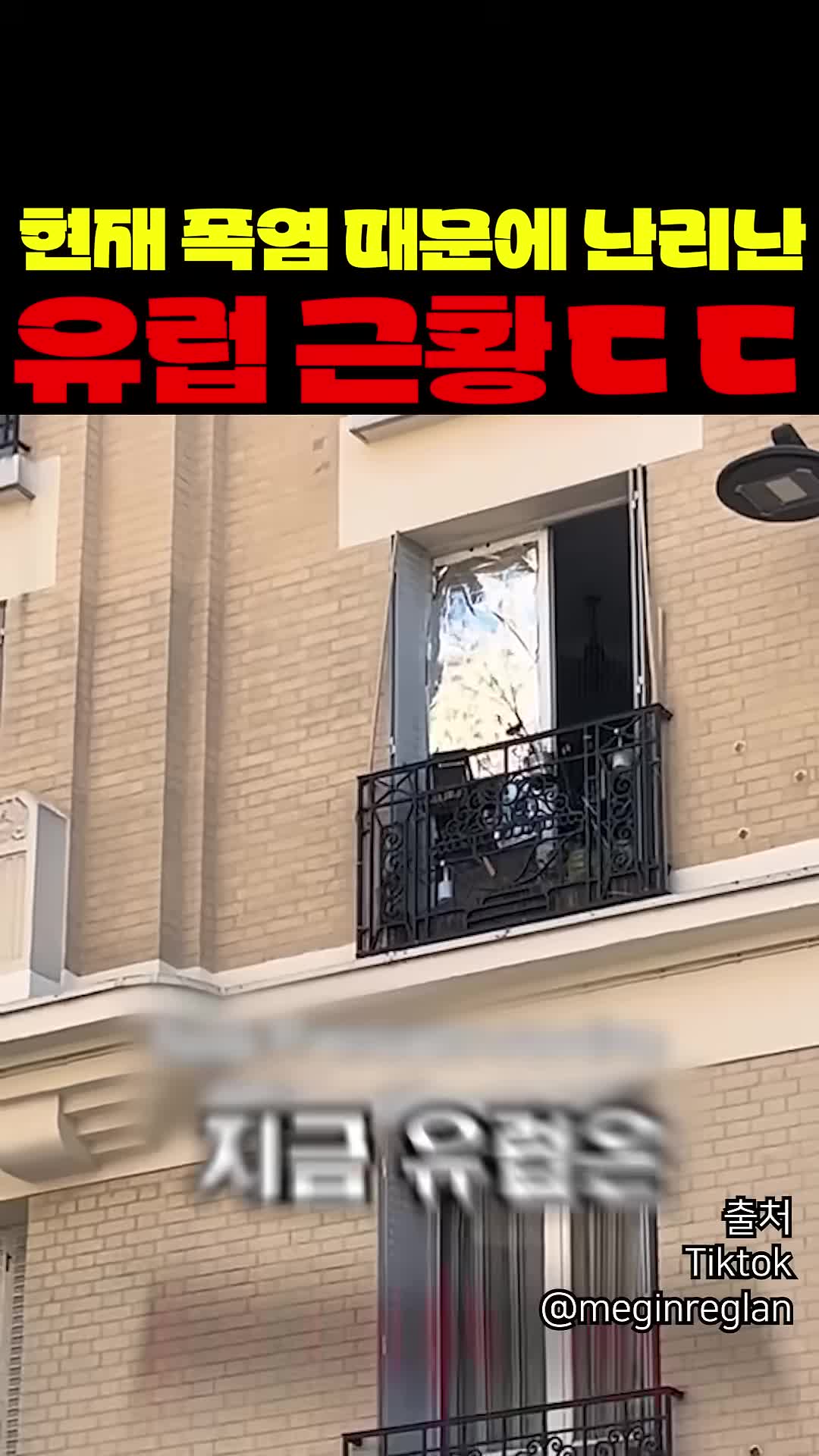 @짱아까미