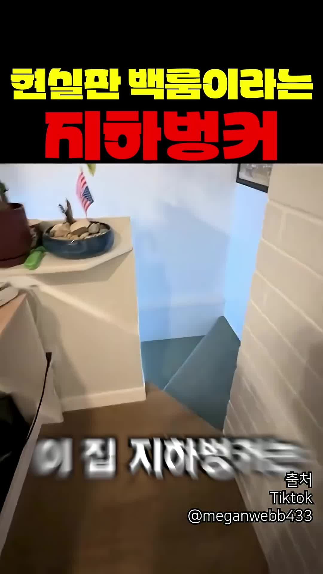 @짱아까미