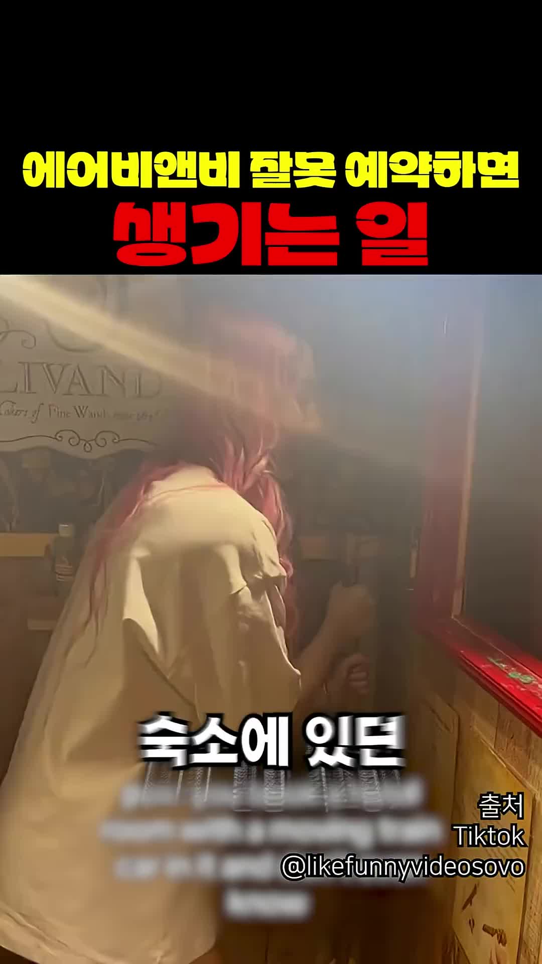 @짱아까미