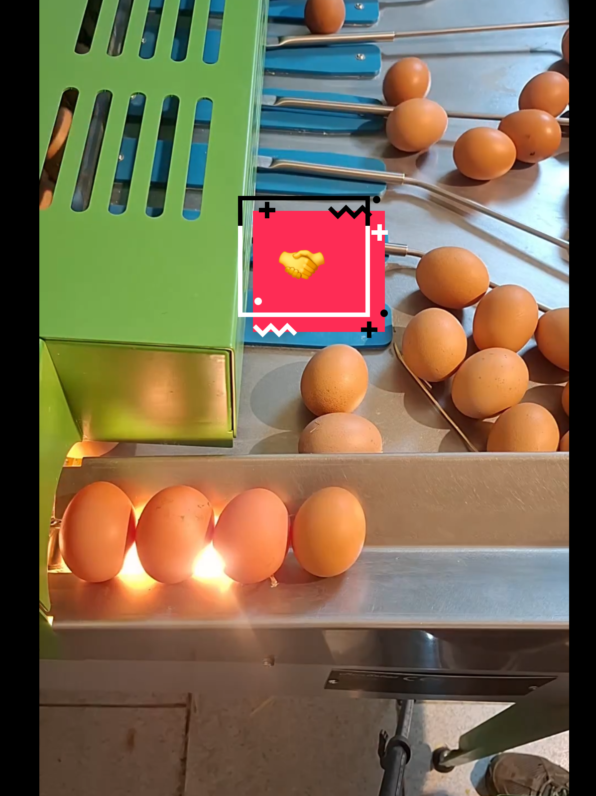 @El Gallinero de Carlos