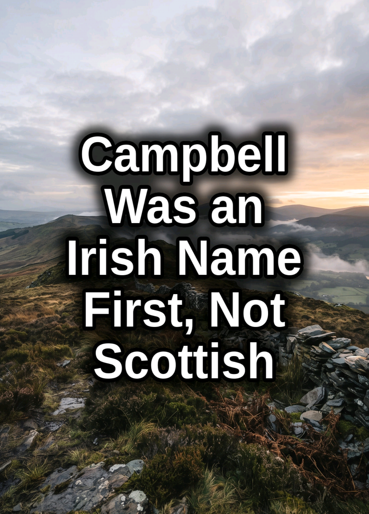 @irish.american.south