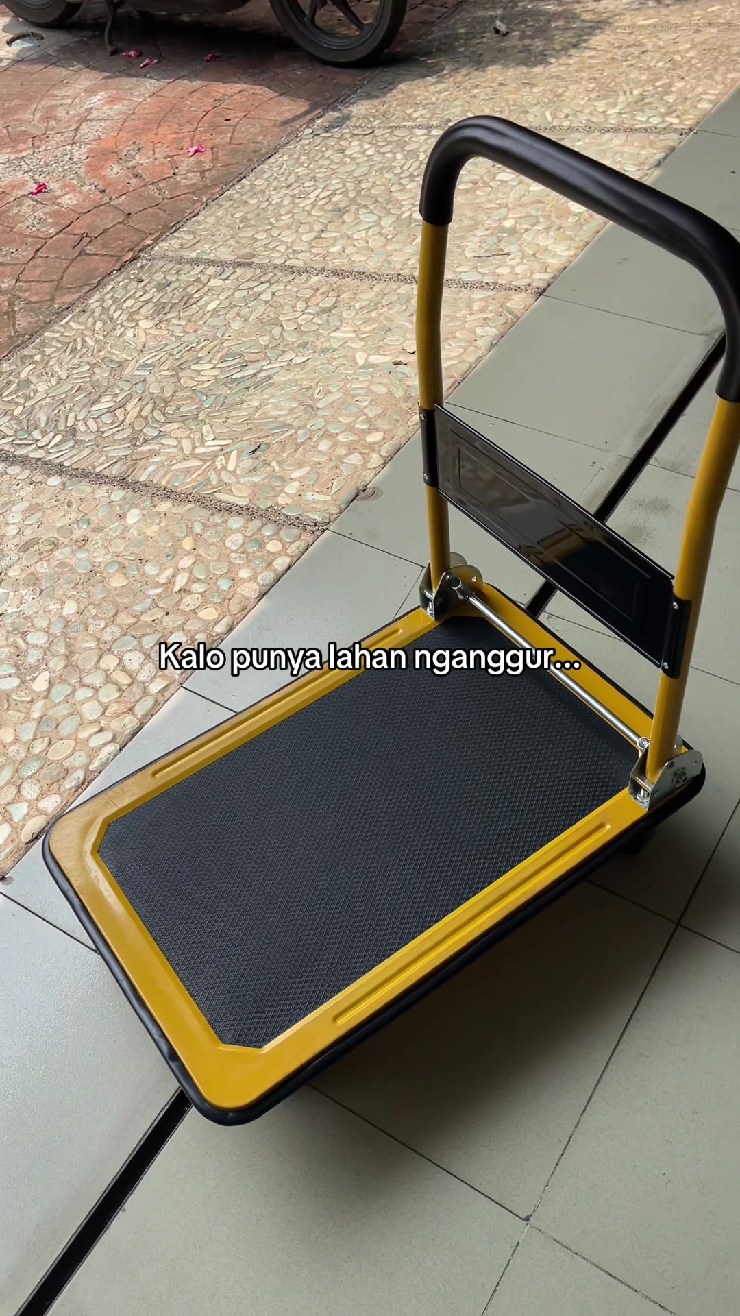 @bangbeligoceng