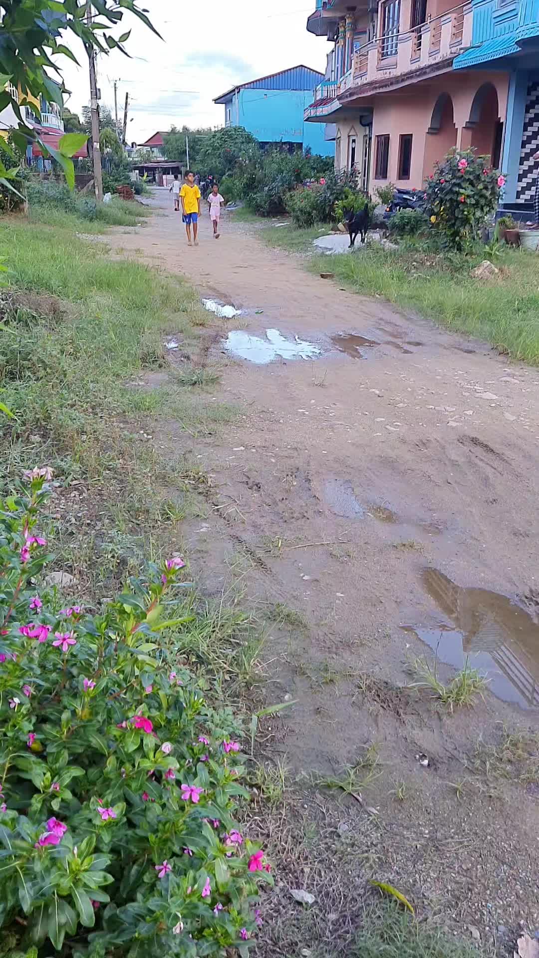@sani kale