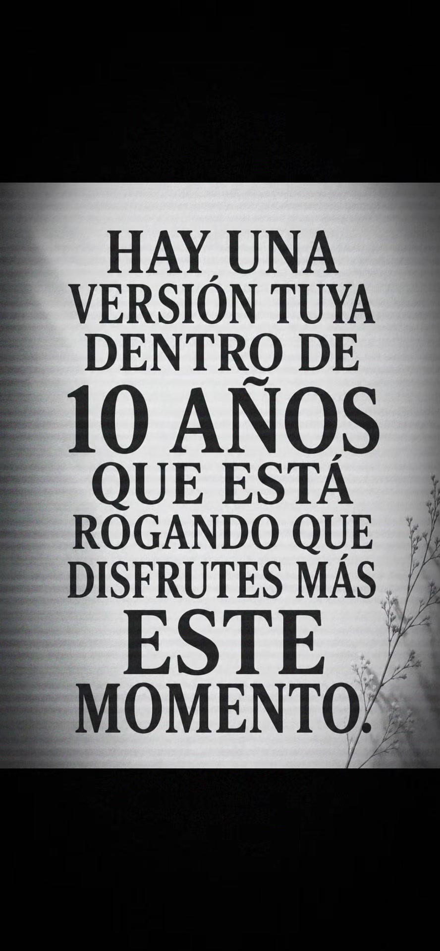 @72 Pr&aacute;cticas Estoicas