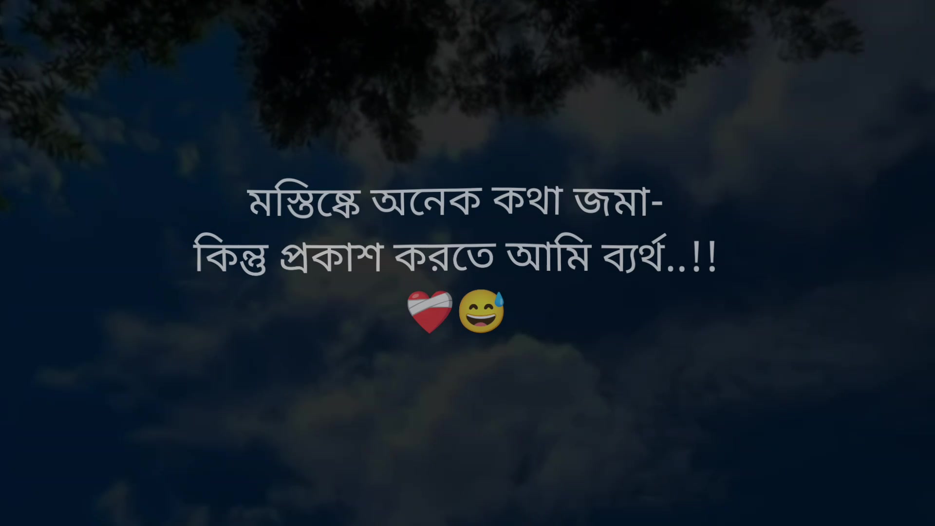 @𝗧𝗮𝗿𝗲𝗸 𝗕𝗵𝗮𝗶𝘆𝗮𝗮'♡︎