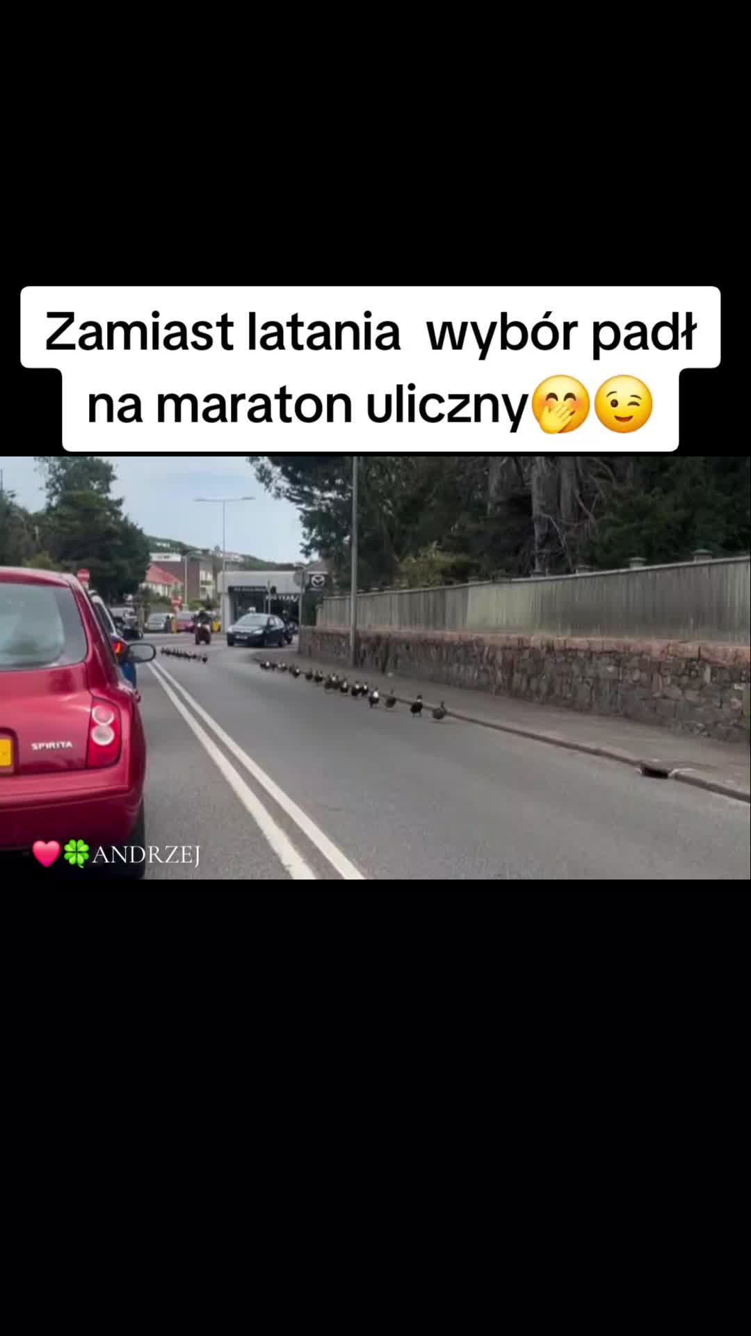@❤️🍀ANDRZEJ