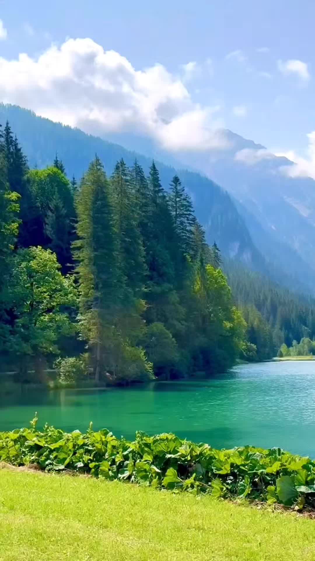 @Lion 🇦🇹