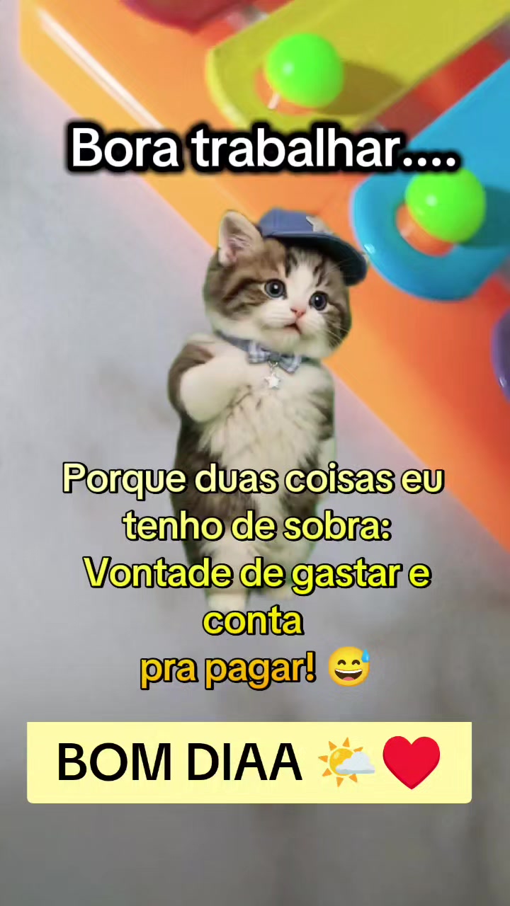 @girassol🌻