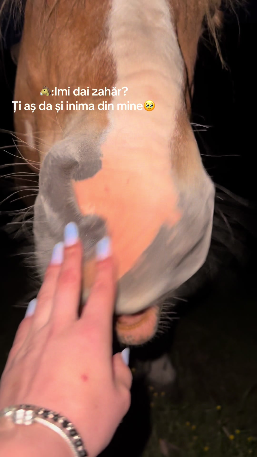 @Andrada❤️💫