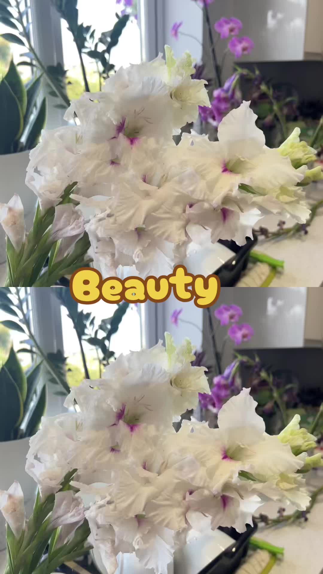 @withmitzy