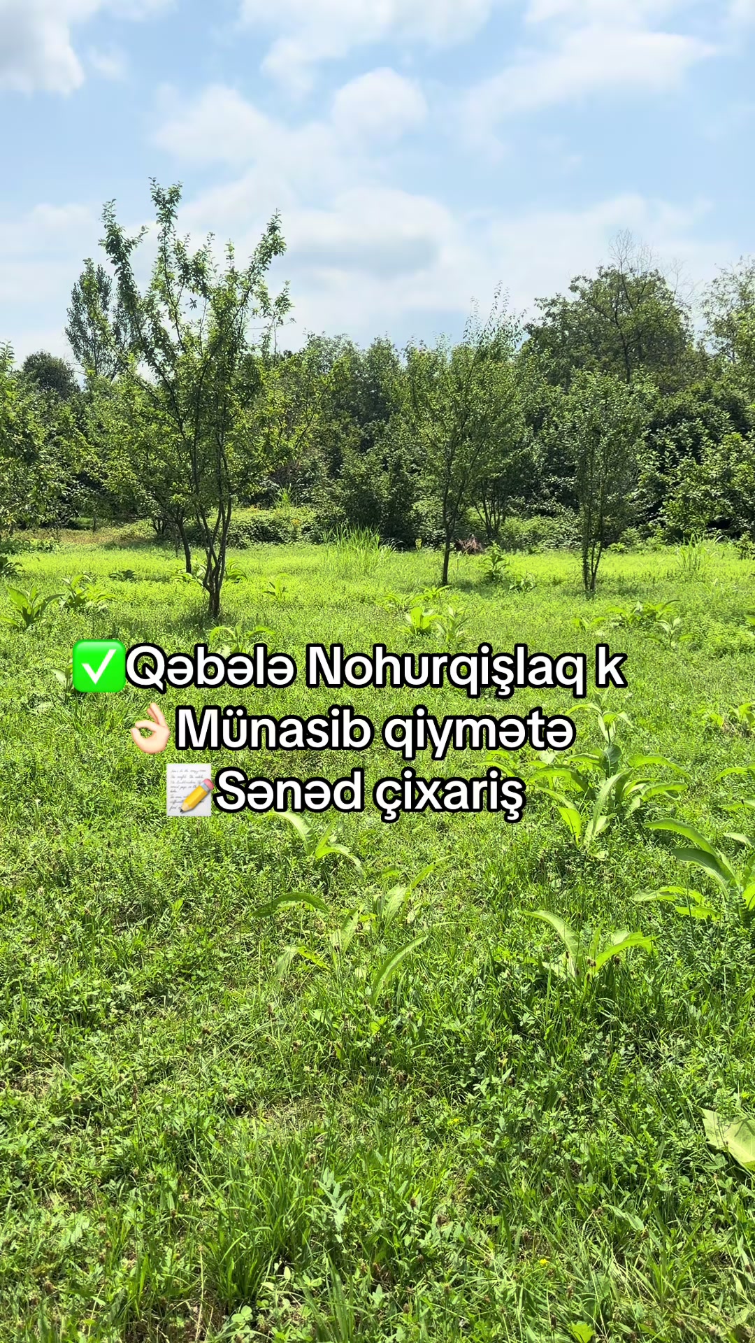 @Qəbələ Əmlak Ruzi
