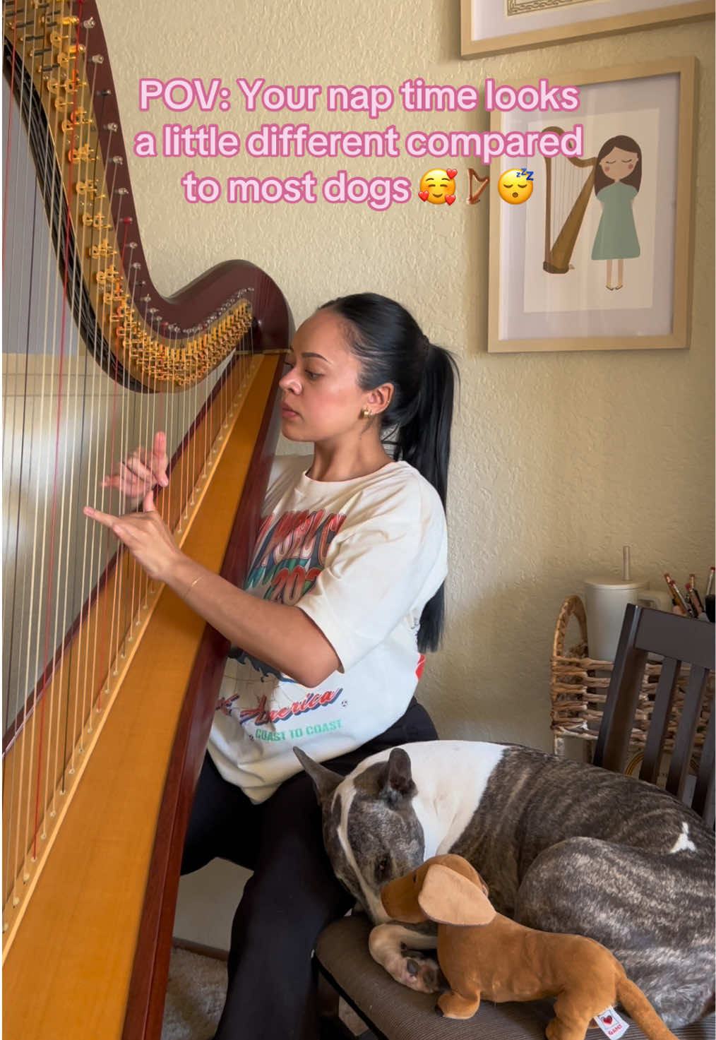 @betaniarodriguezharp