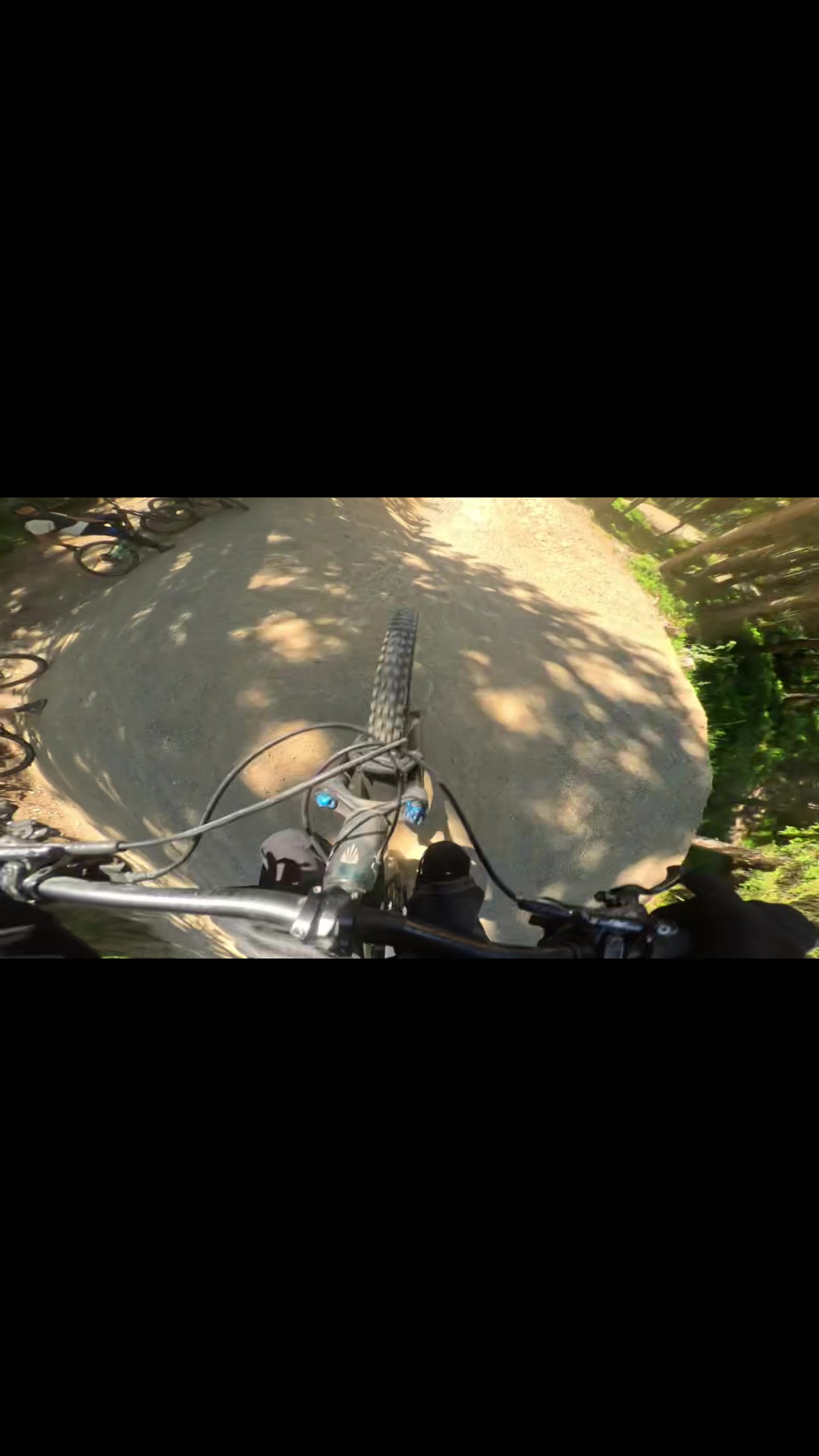 @🌲Freeride_Paul🌲