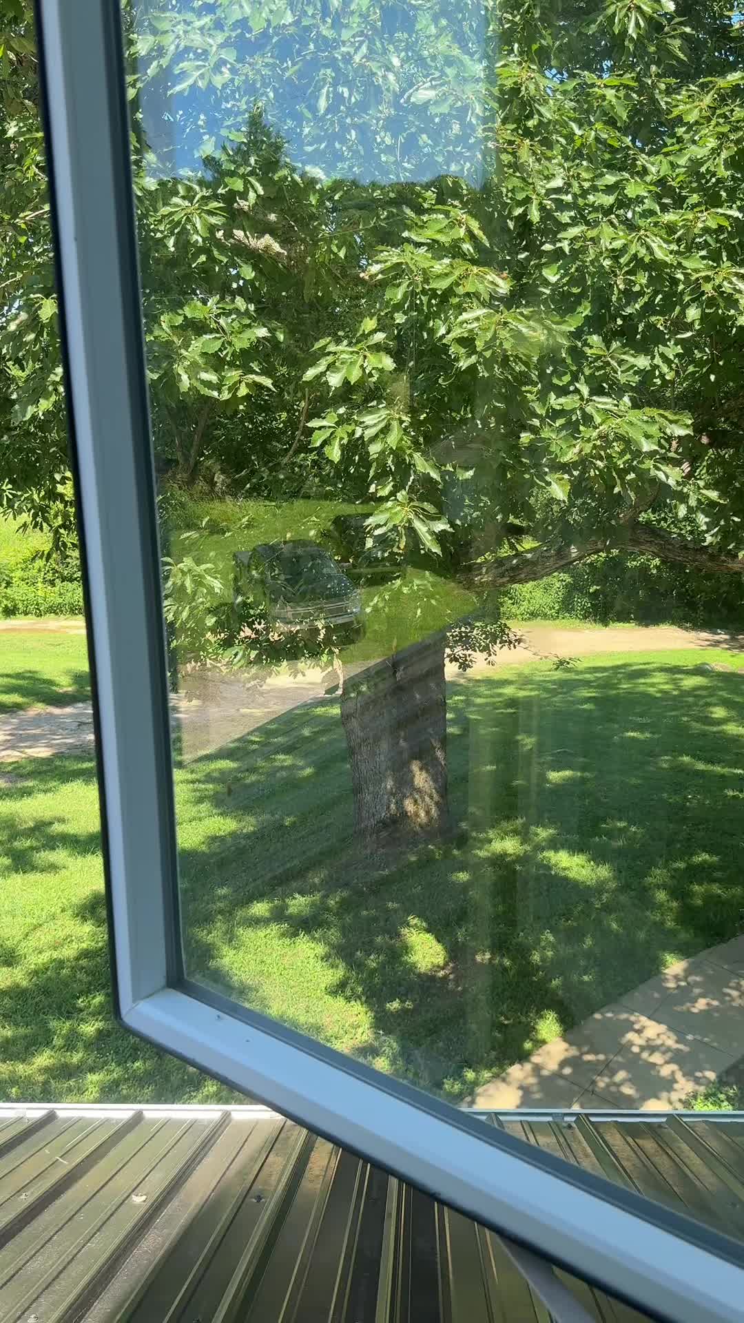 @𝒸𝒶𝓉𝒶𝓈ℴ𝓃