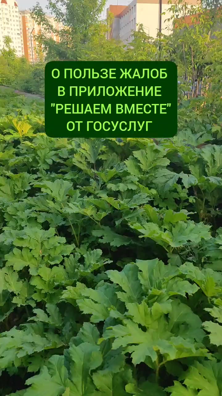 @Мария Попова