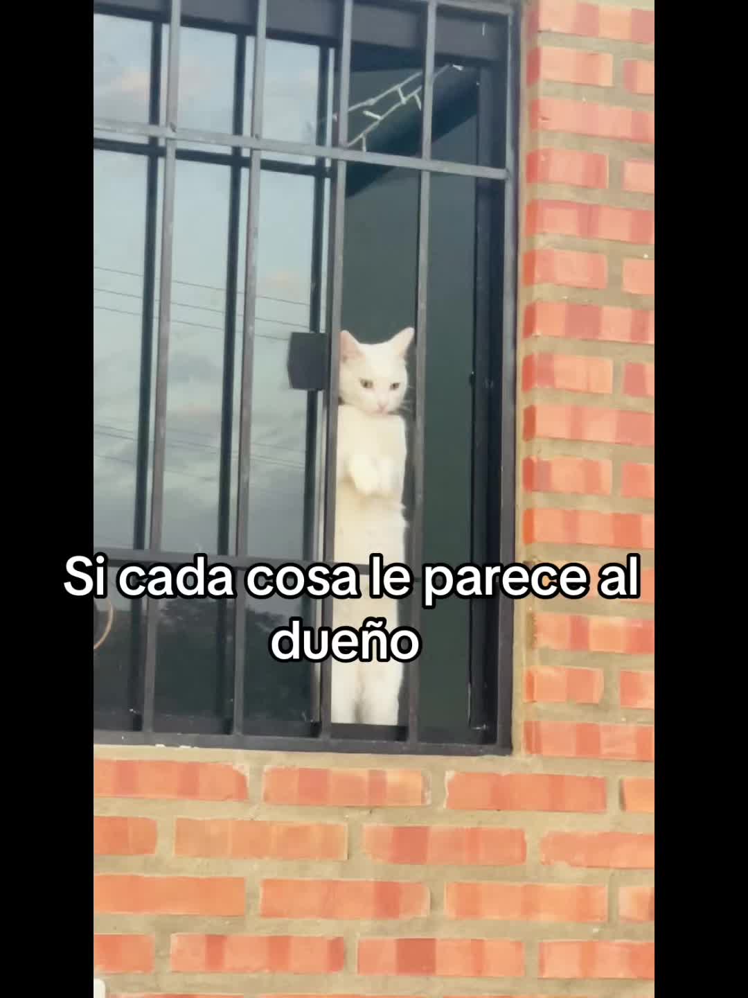 @Luci🦋