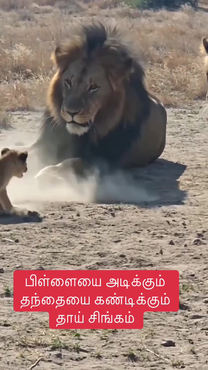 @🔥M.Senthil / Jayankondam 🔥