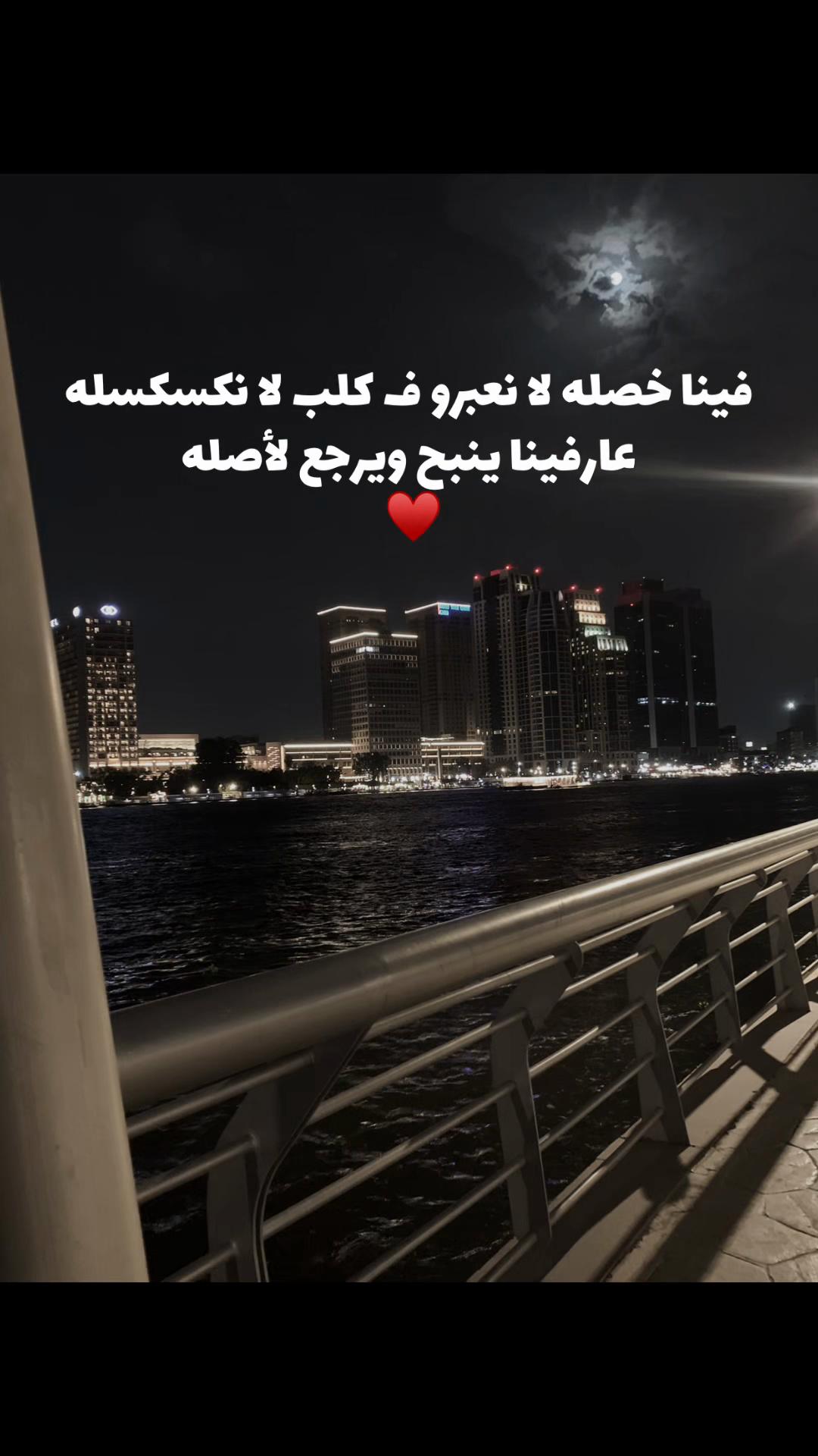 @Palestine Al-Manfi 🦅🇸🇦🇱🇾
