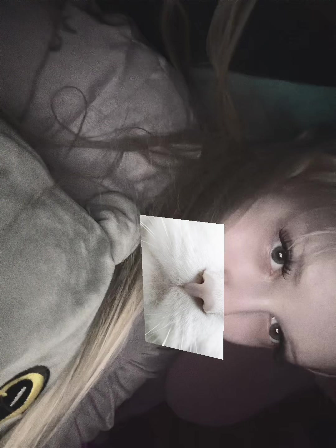 @вепфи 🦴