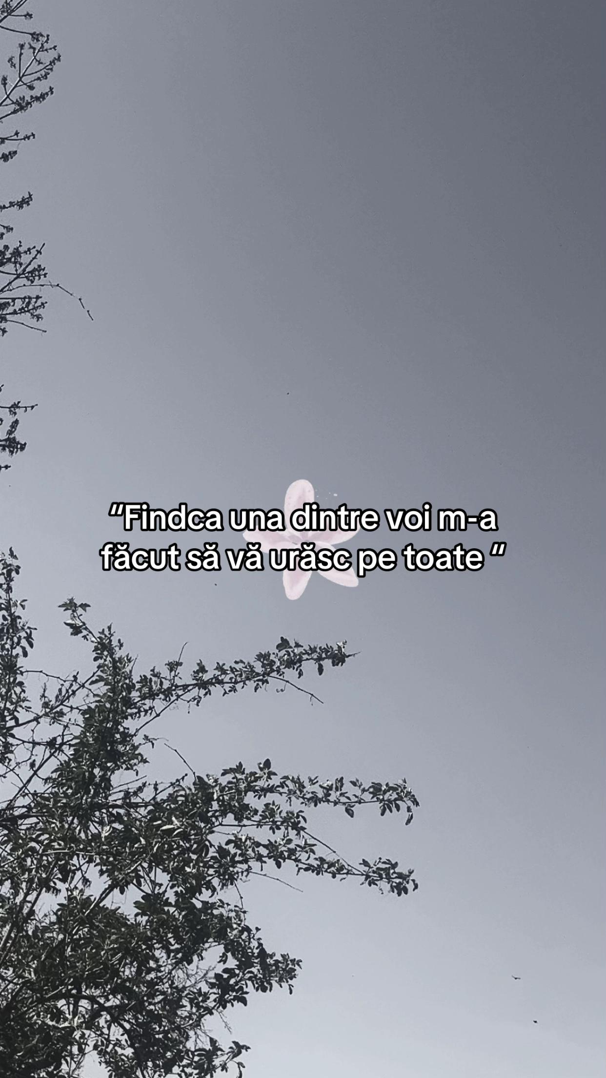 @⭐️