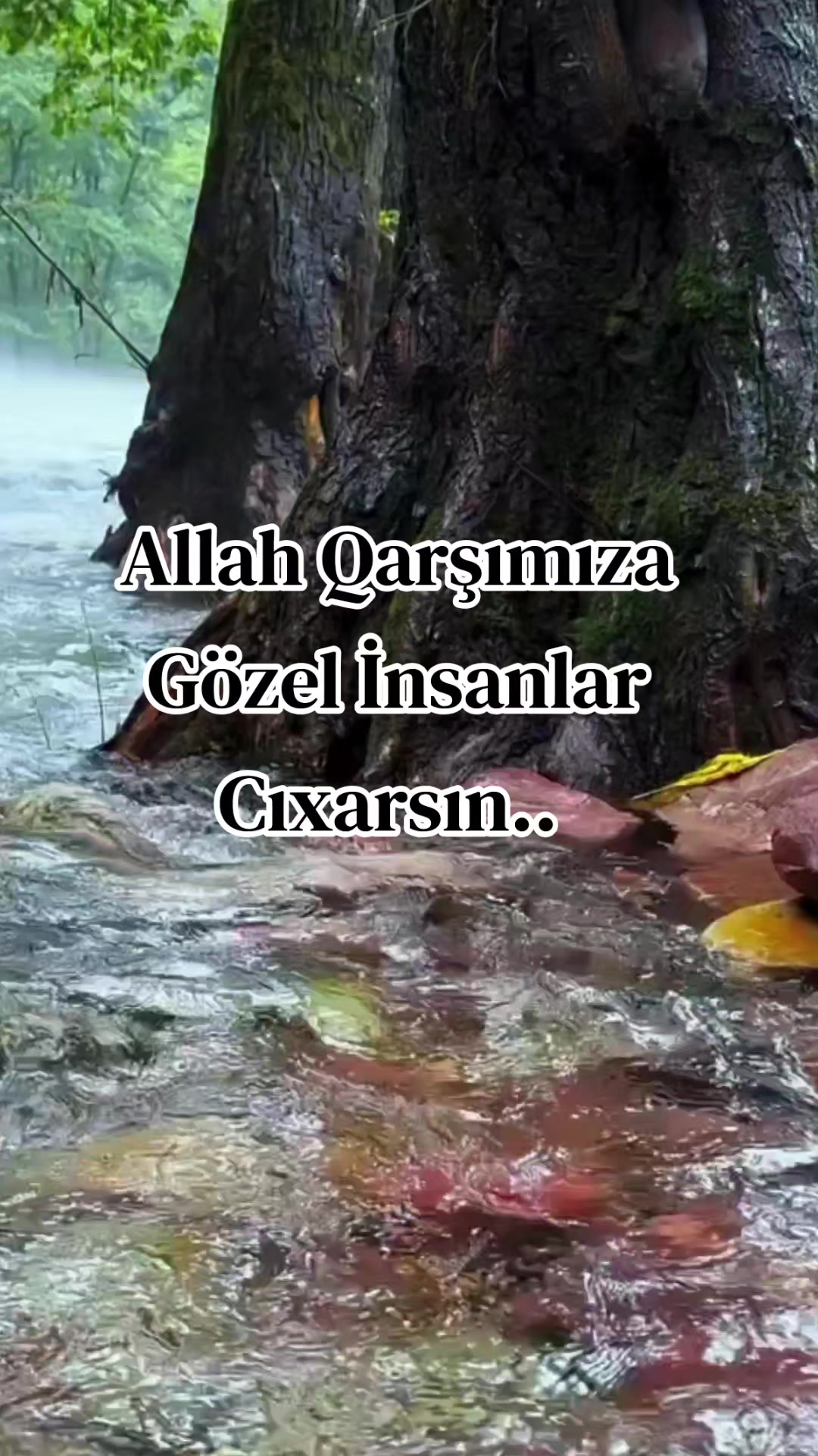 @🌹G&uuml;l&uuml;m❤