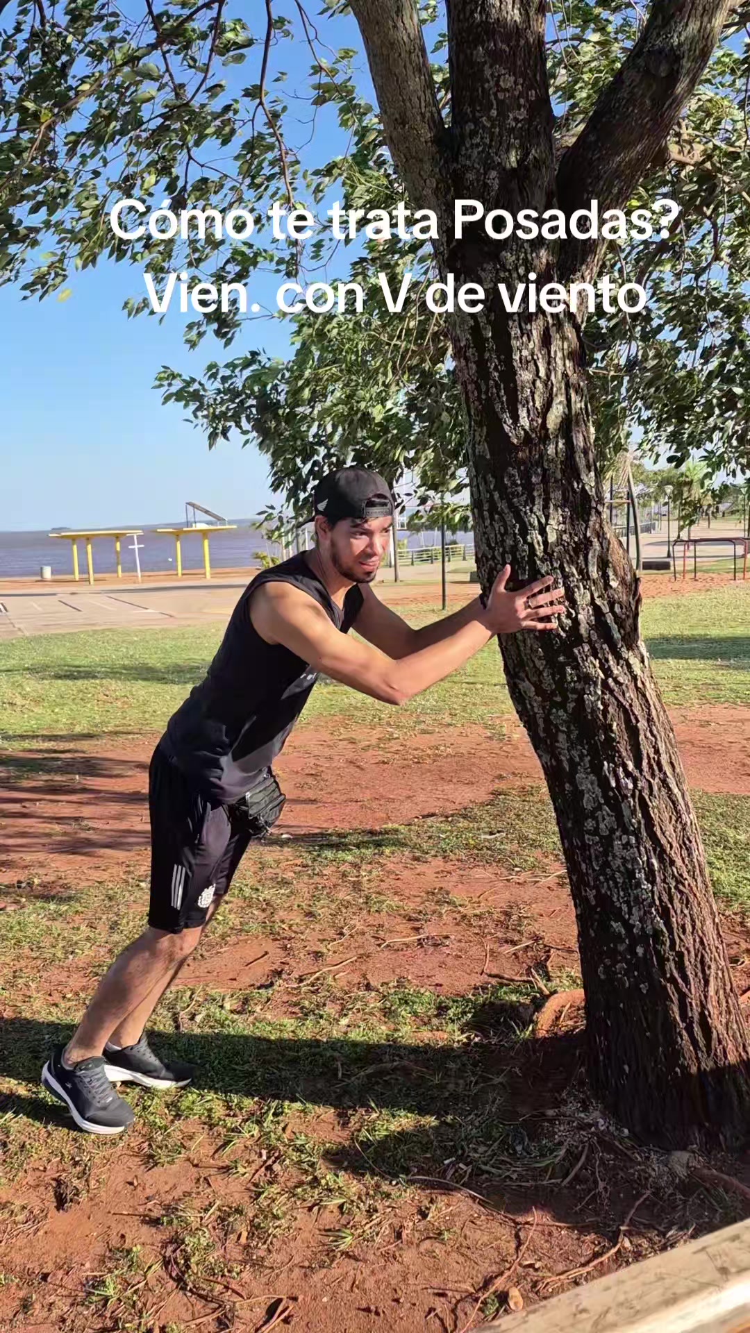 @Diego y sus michis