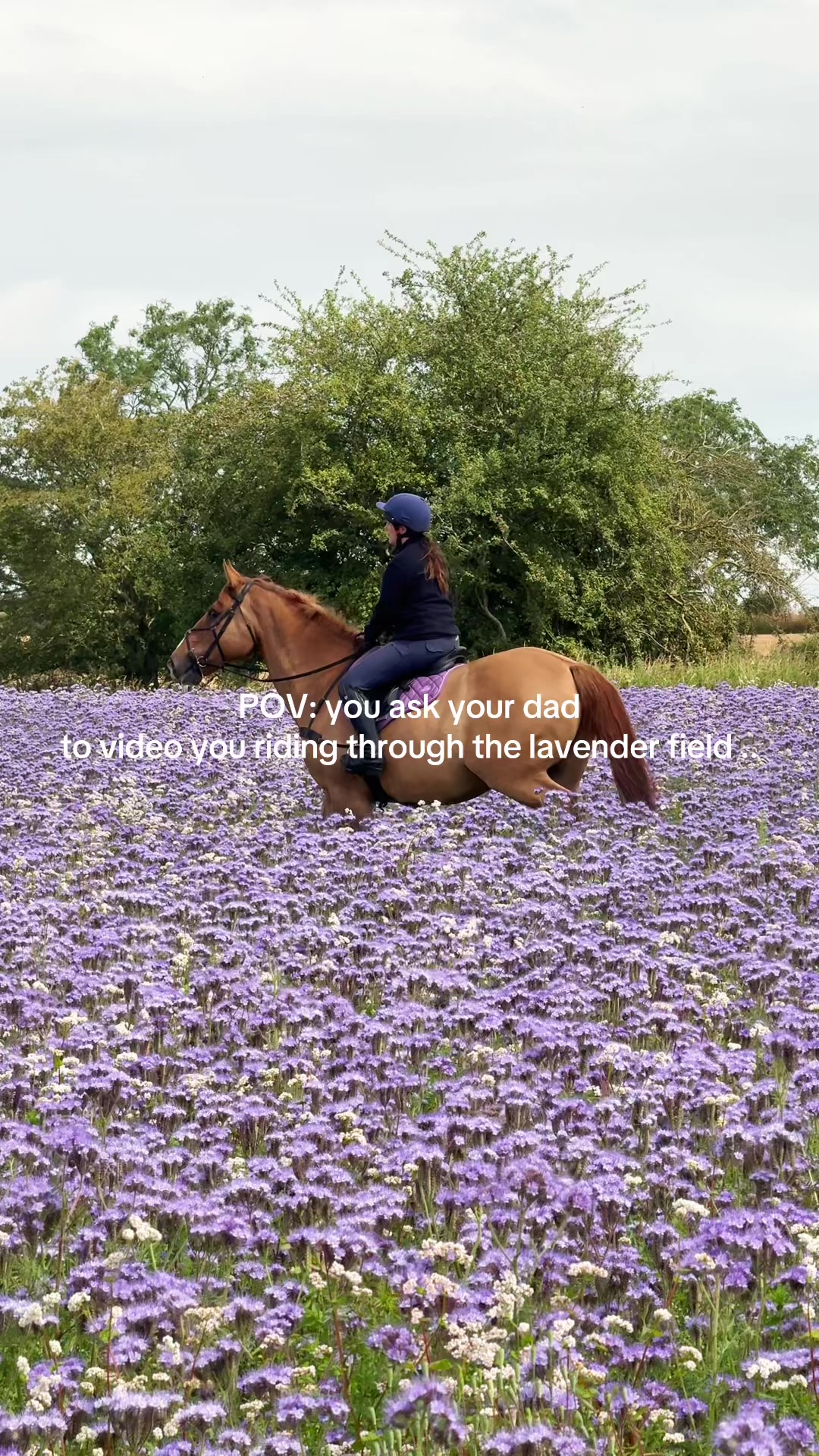 @Uhlan Equestrian