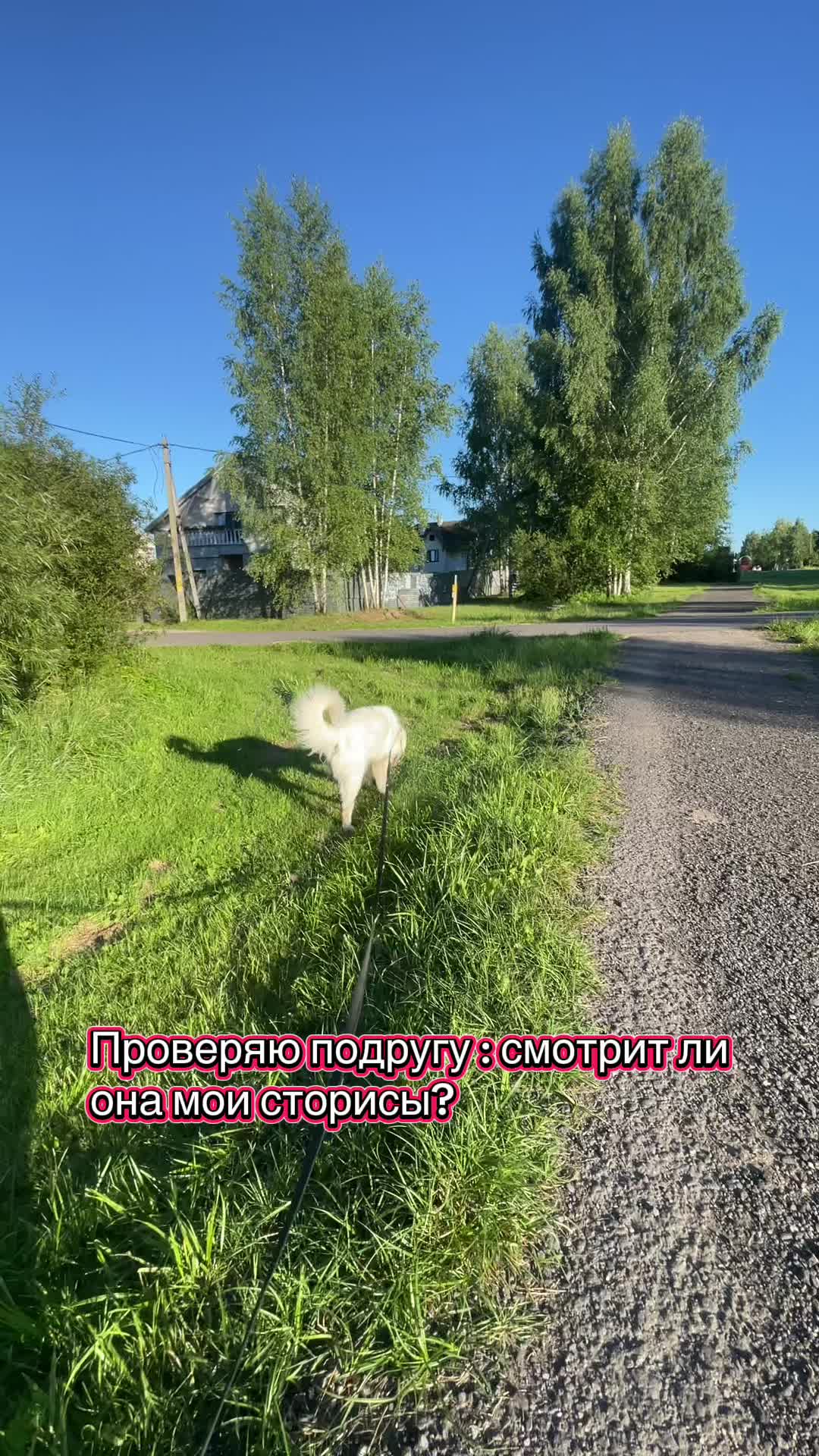 @Зооняня👉Алёна Ващенко