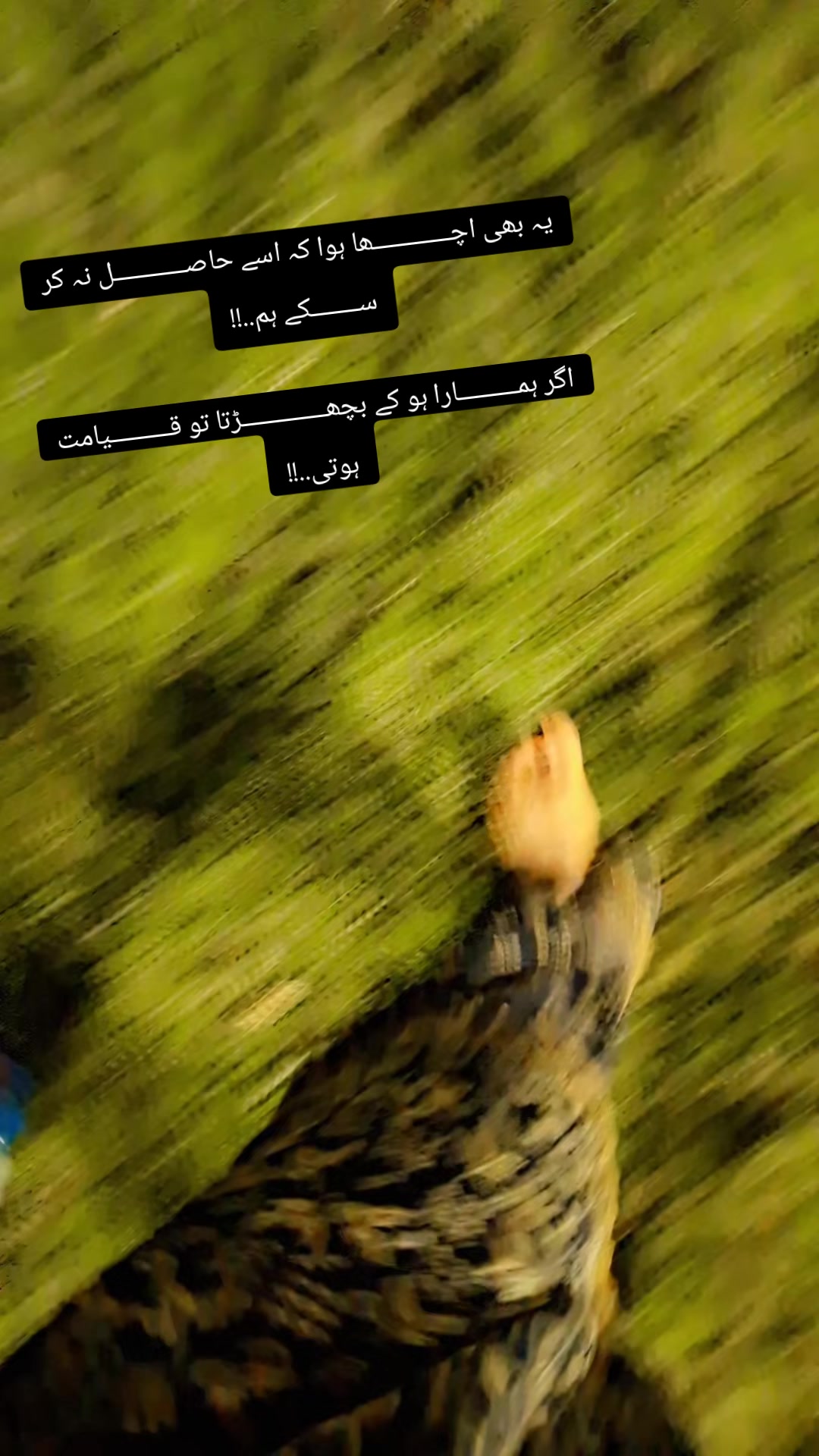 @☬✮⃝🕊️میری زندگی ہے تو 🫵🏻☬✮⃝