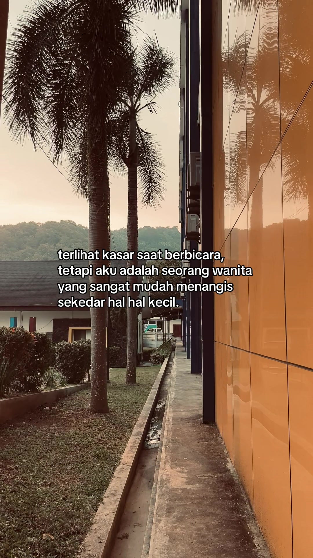 @sayforhagordb_1
