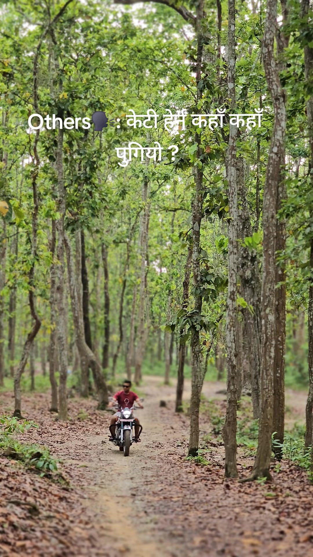 @सायर