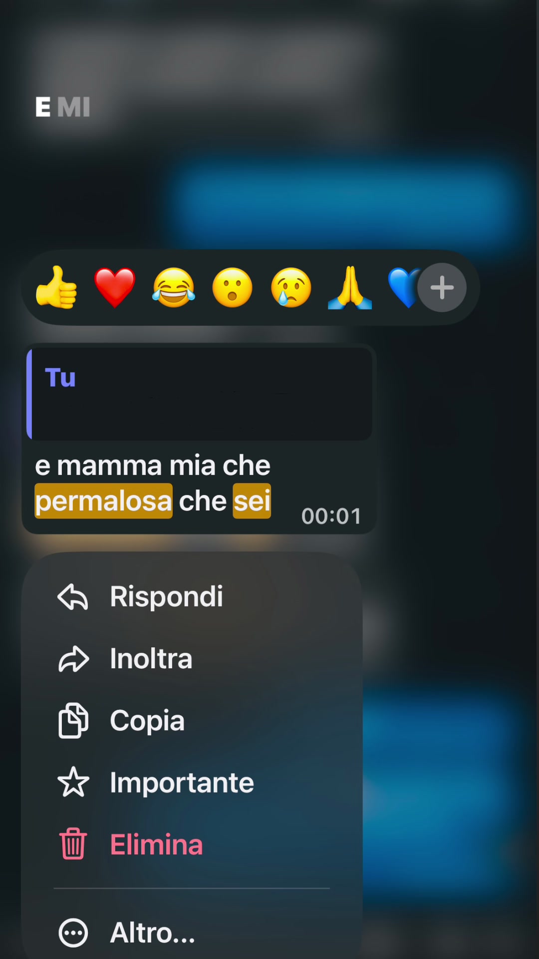@ludo.spamm🌟
