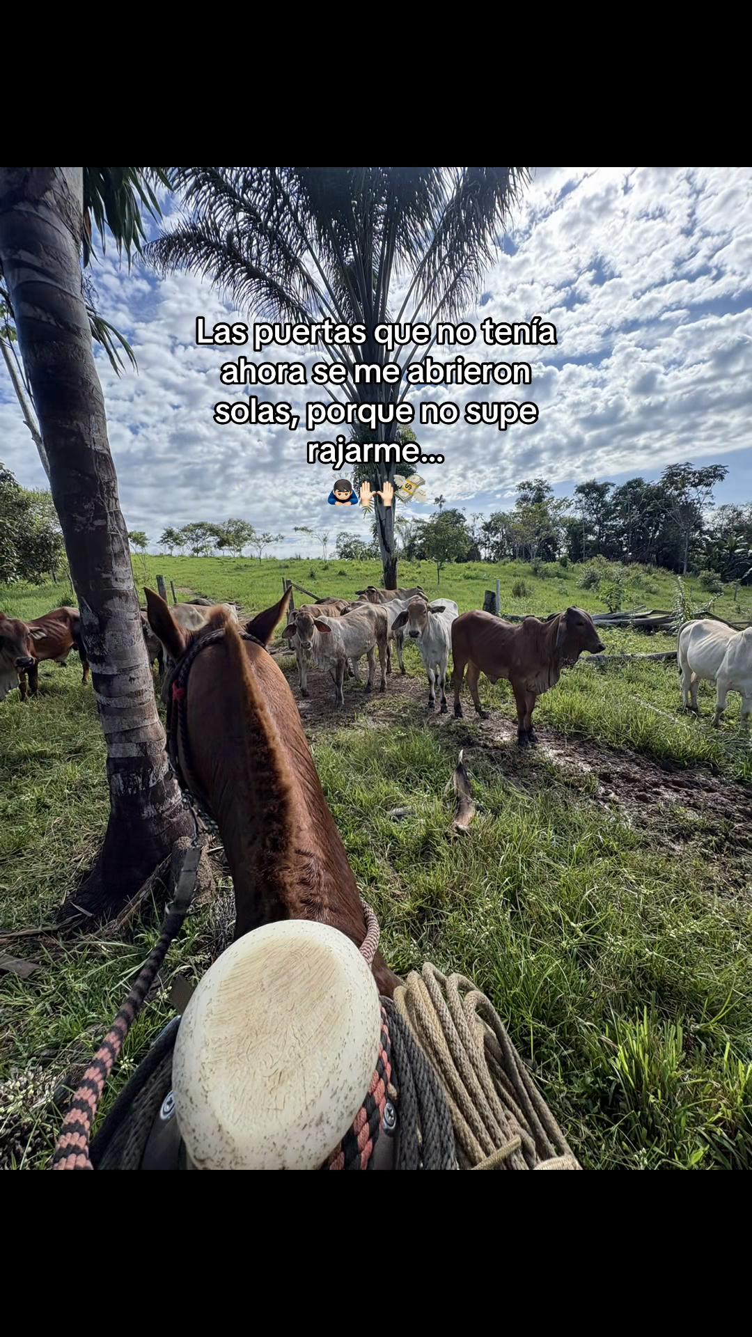 @Didier_🤠