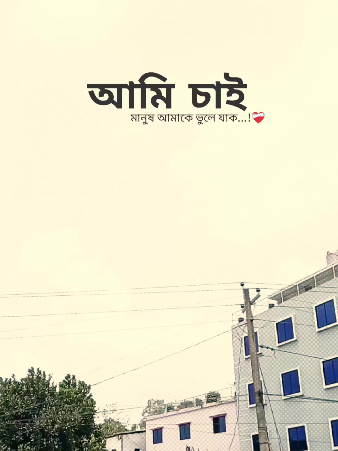 @꧁⭑শেষ পৃষ্ঠা⭑꧂