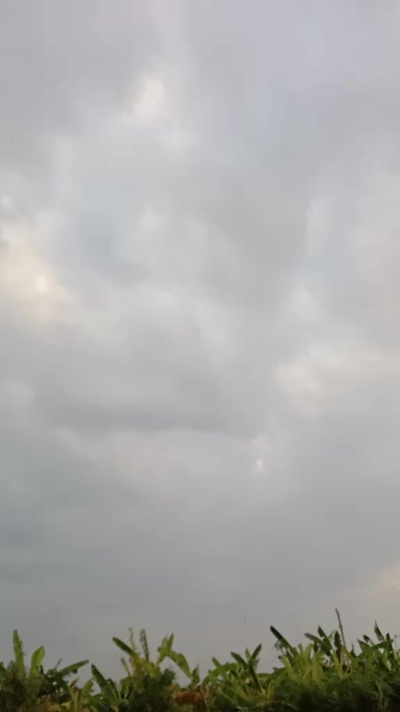 @Mujie_Sharma 🇮🇩