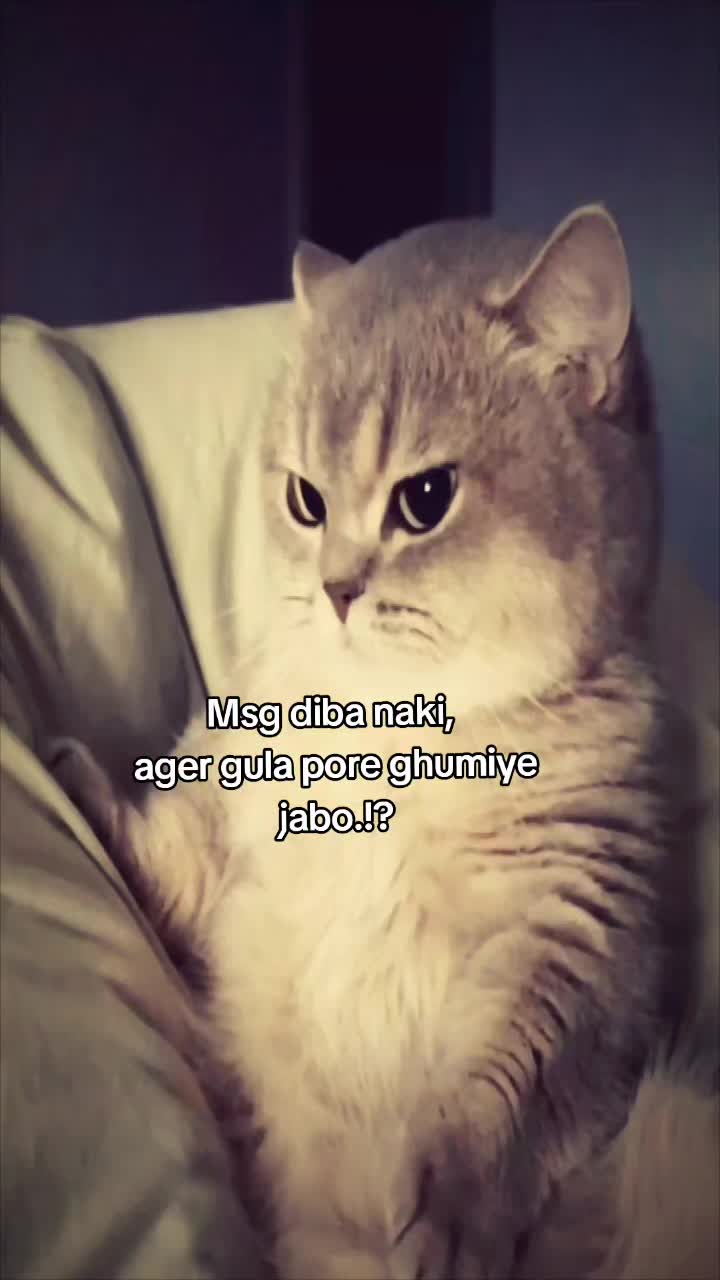 @Ehh?