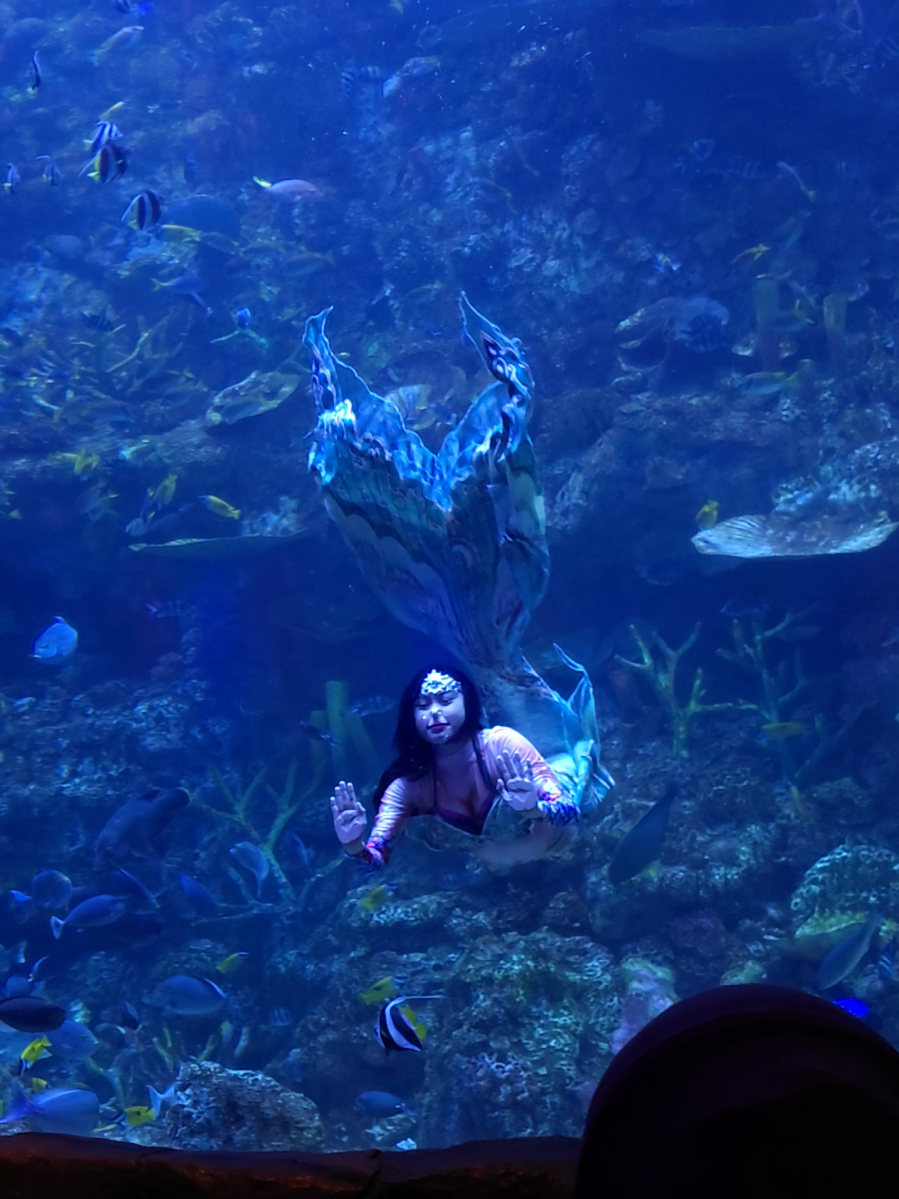 @Mermaid Cryztal