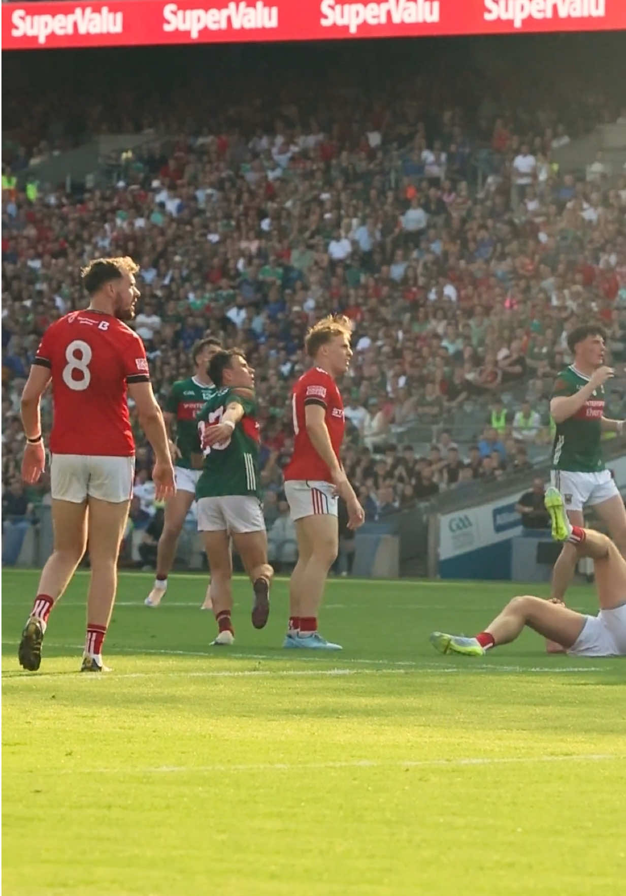 @MayoGAA