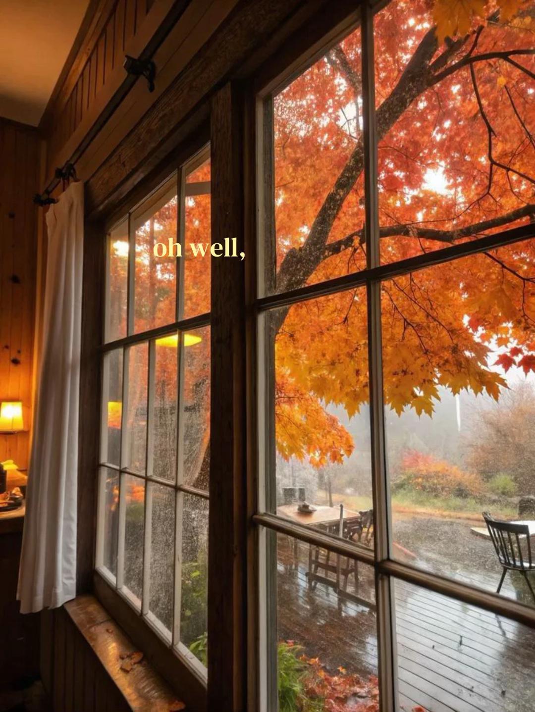@𝓂𝒾𝓂𝒾 🕸️