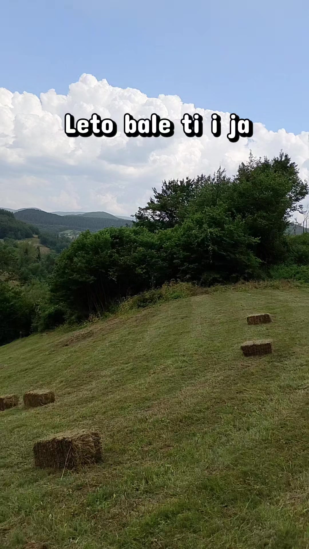 @NoćniMomak