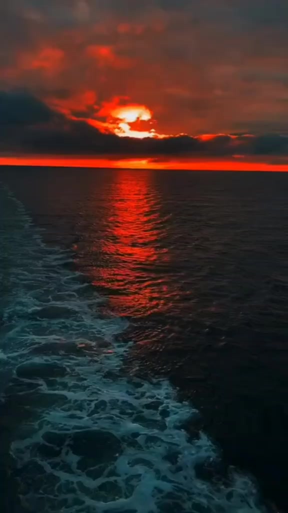 @asikurt
