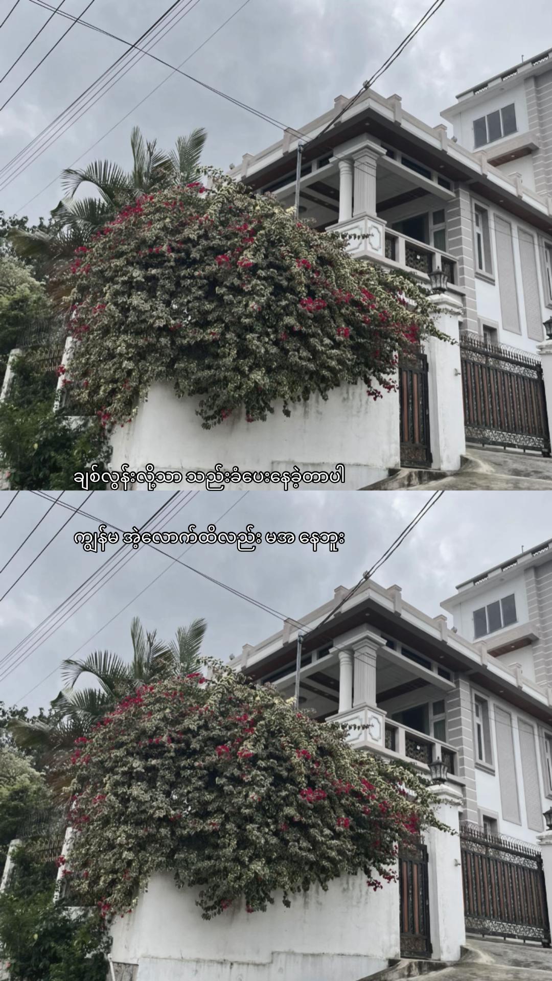 @jia.yi538