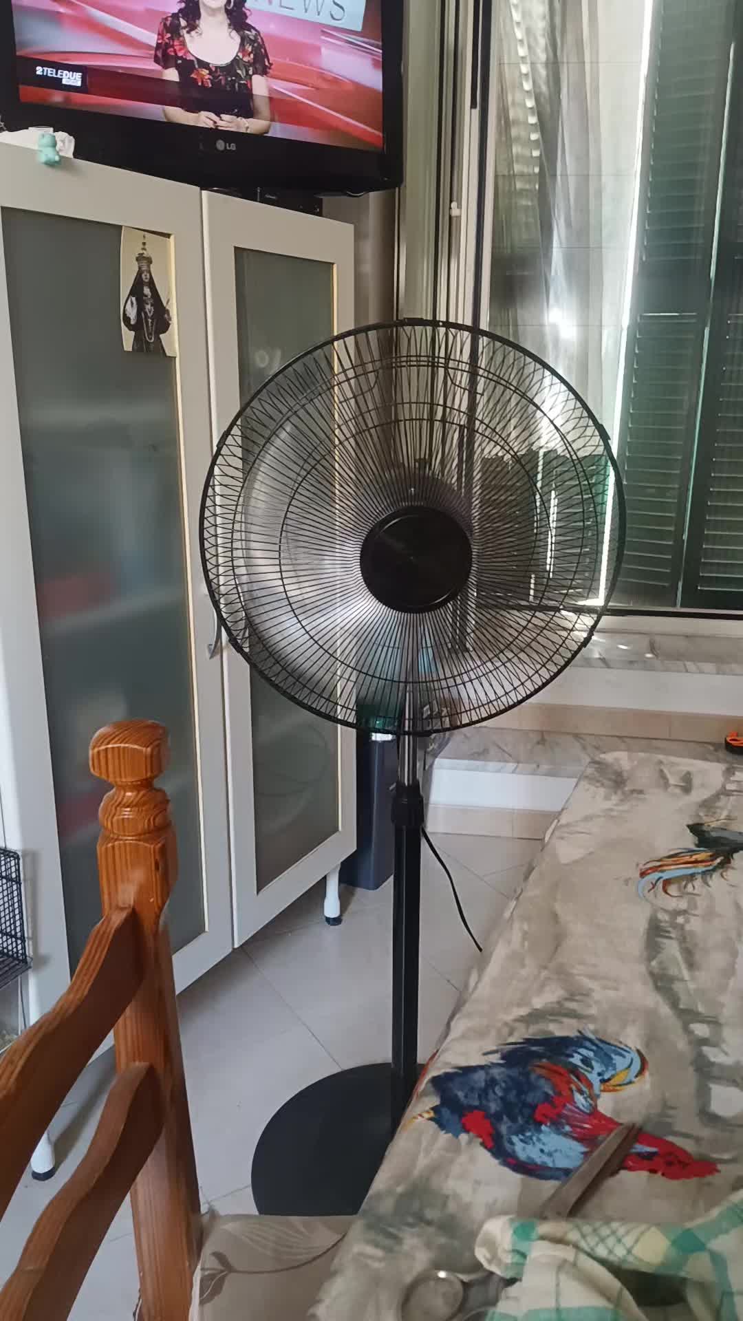@luigifasciano780