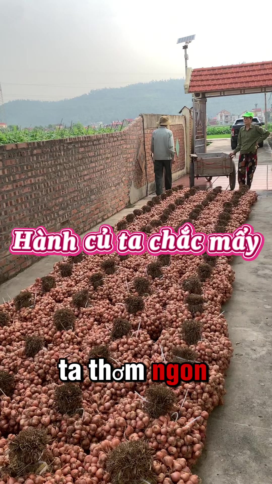 @Hành Phi Kinh Môn nhà Khanh