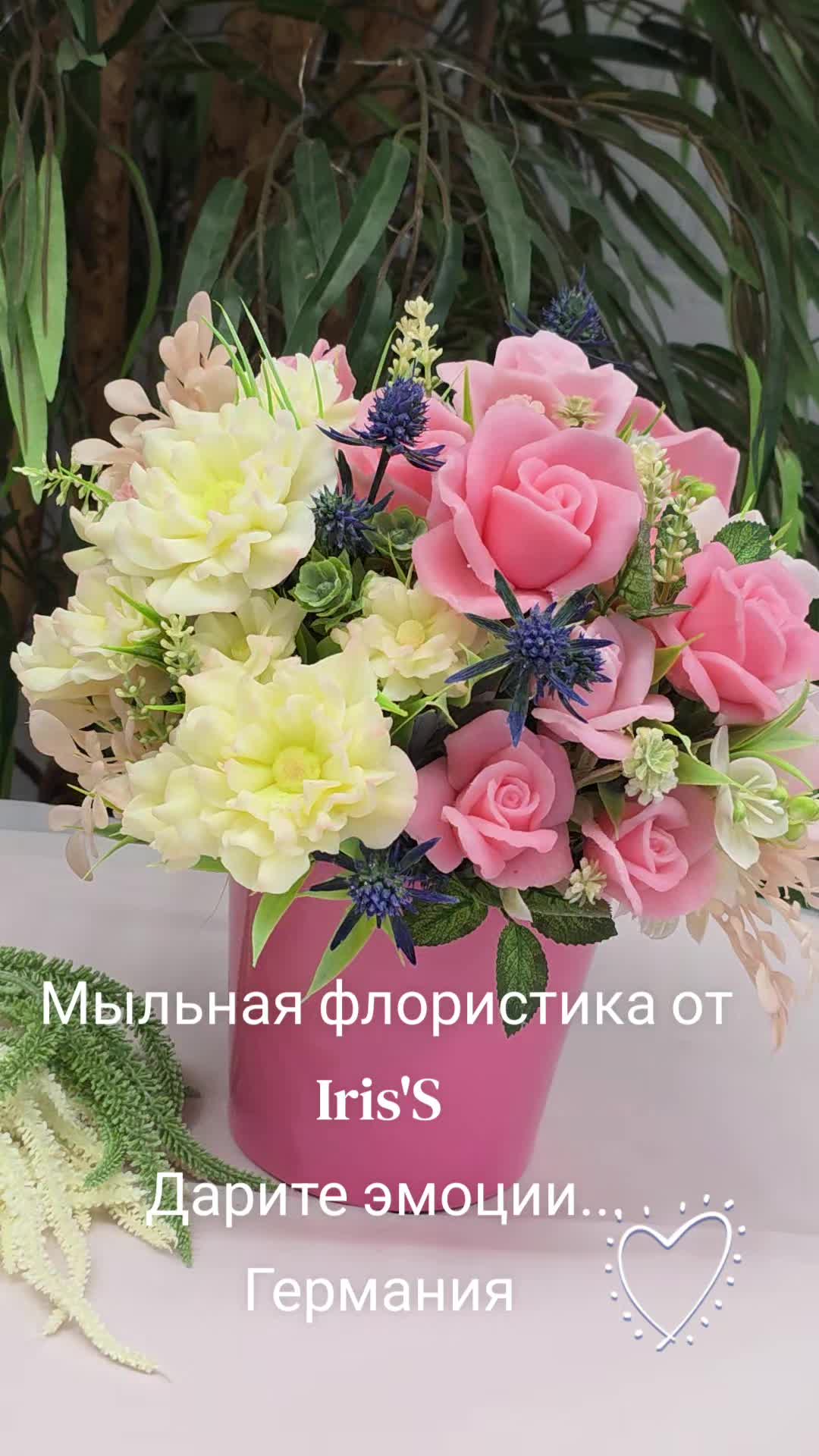 @Iris'S
