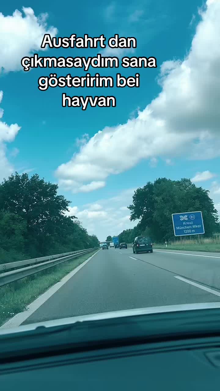 @&ldquo;AneMoN &Ccedil;i&ccedil;egi&rdquo;🌻🥀🌼🌷🌸